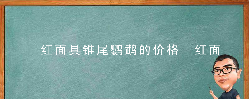 红面具锥尾鹦鹉的价格 红面具锥尾鹦鹉的饲养方法，红面具锥尾鹦鹉图片